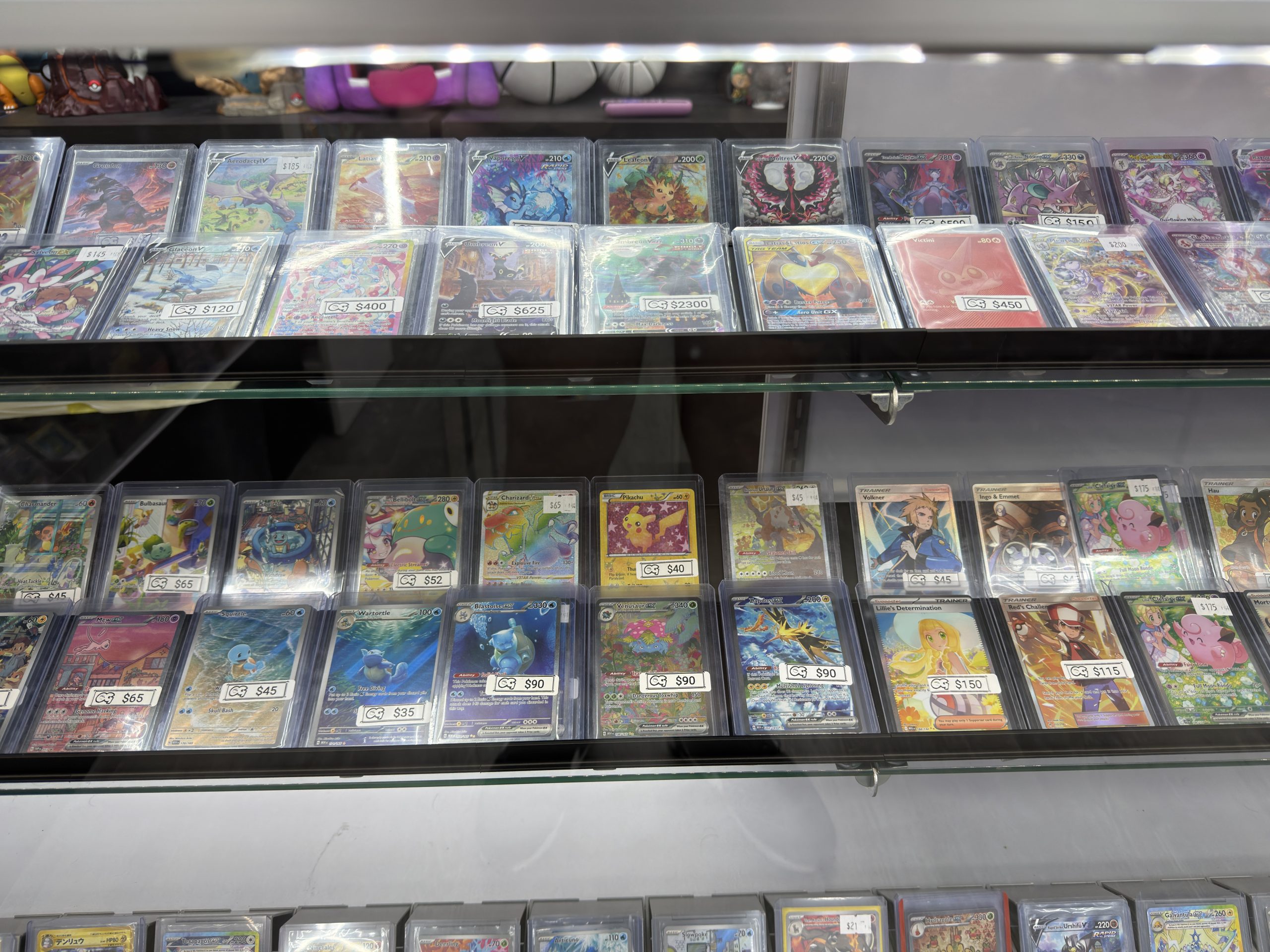 Glass Display Shelves - Image 3